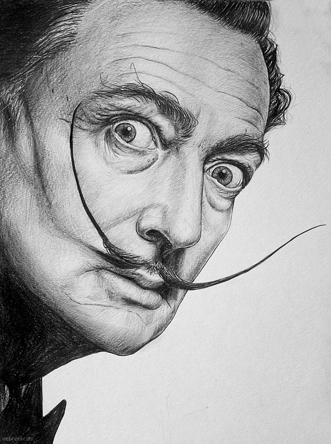 Salvador Dalí Picture